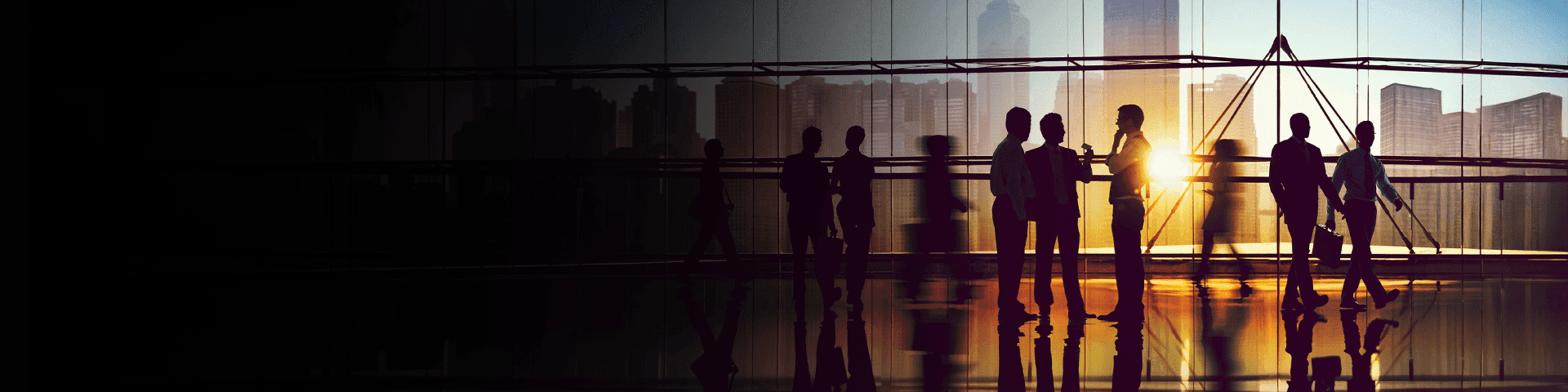 Find Your Solution with Our Team