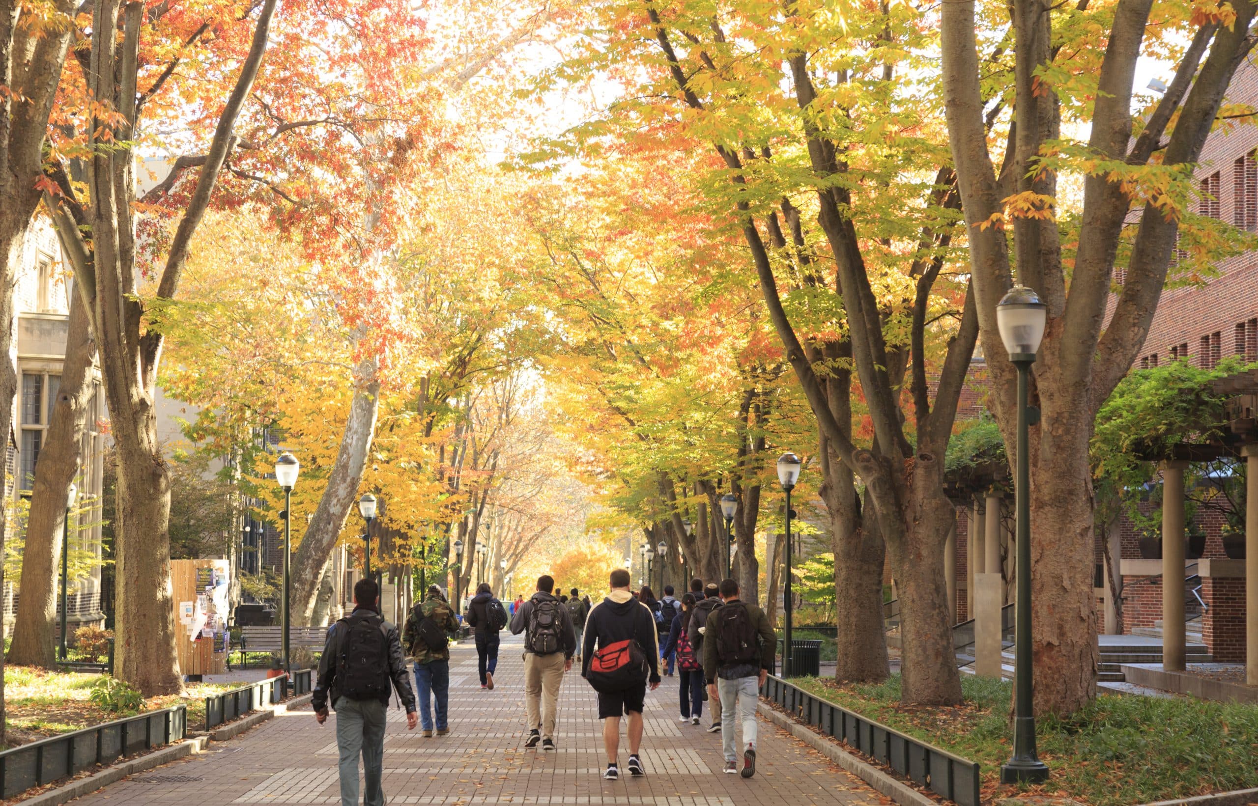 Security and surveillance in a new world: Protecting students, staff, and faculty with Hanwha Techwin