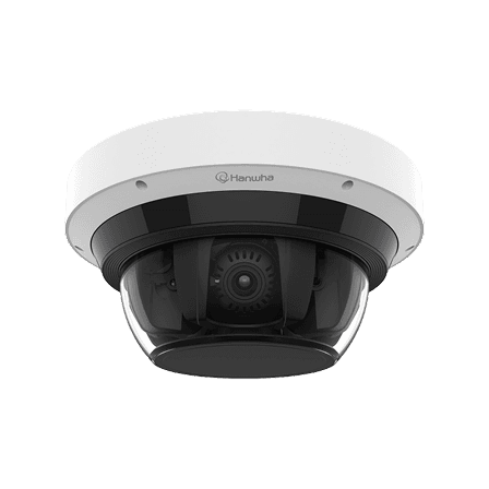 Multi-sensor Cameras