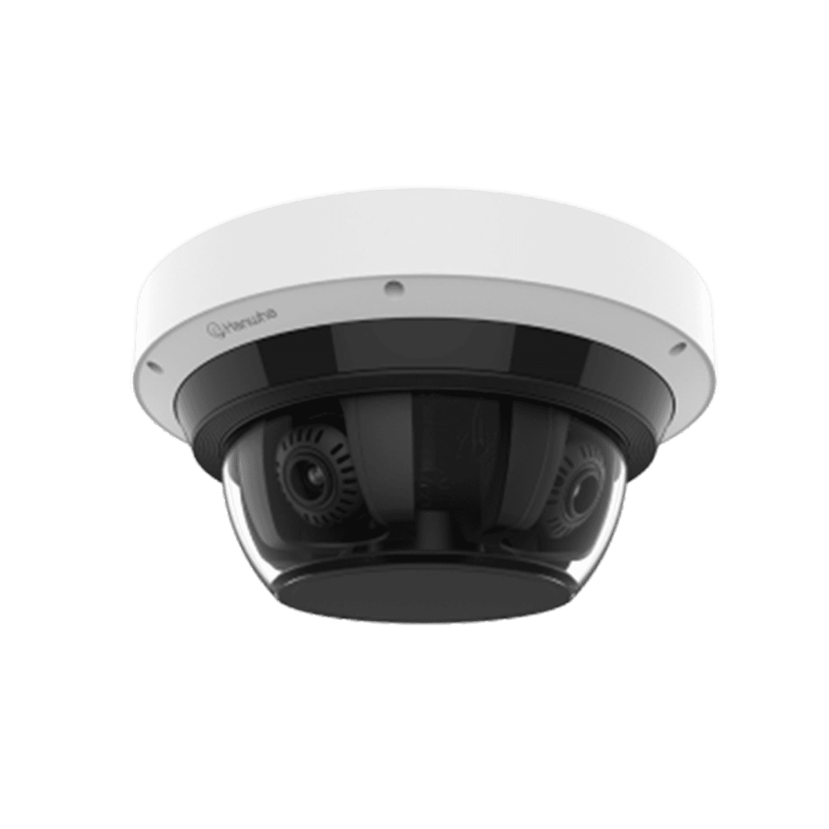 Multi-sensor Cameras
