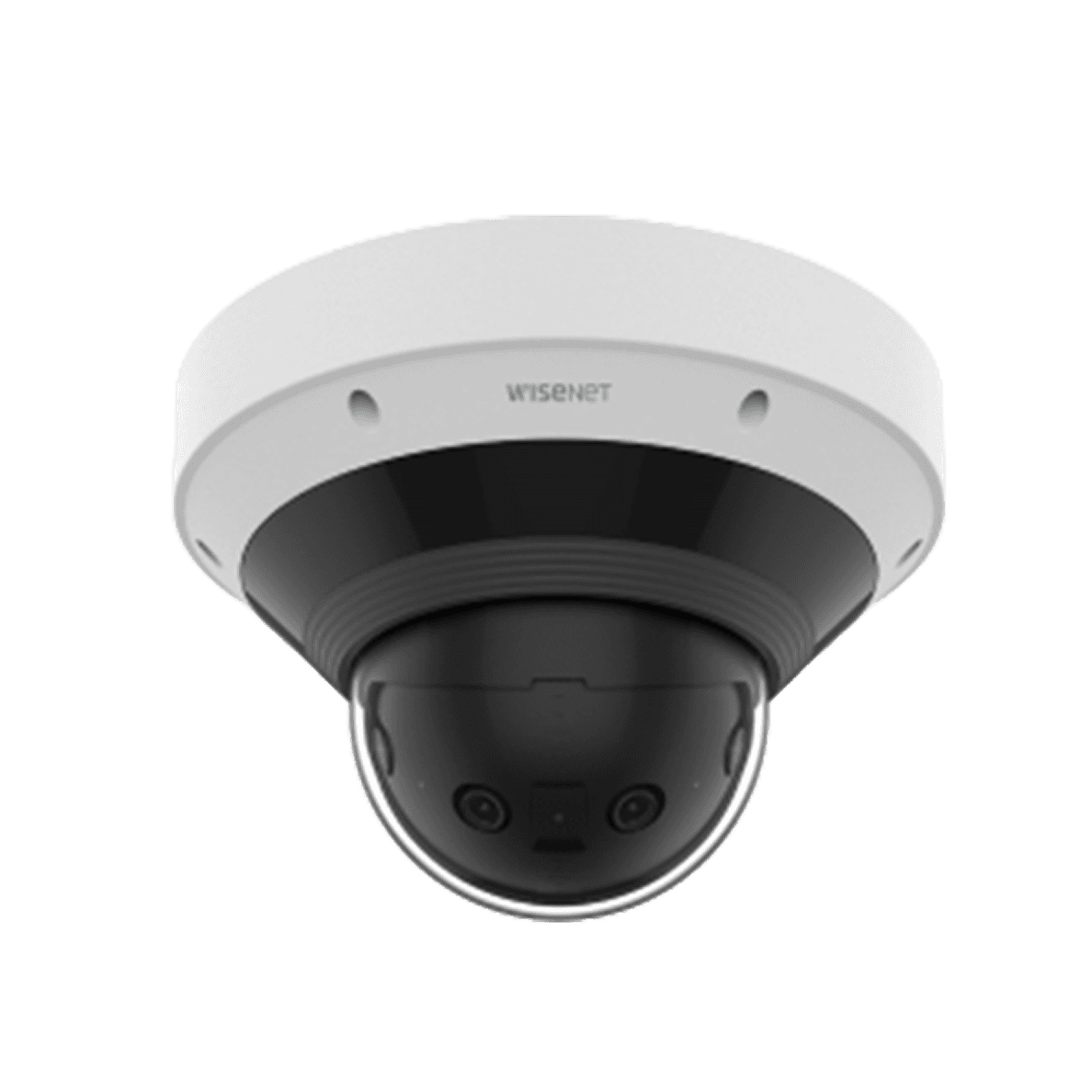 Panoramic Cameras