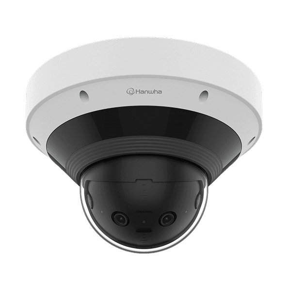 Panoramic Cameras