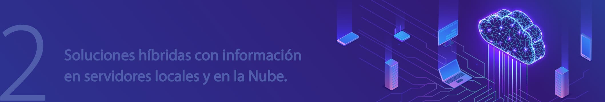 La combinación de soluciones híbridas basadas en nube y servidor ofrecerán la mejor adaptabilidad a las necesidades de los clientes